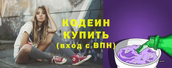 гидра Горнозаводск
