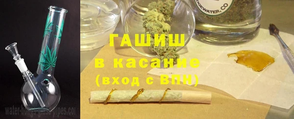 гидра Горнозаводск