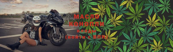 эйфоретик Гусев