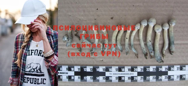 твердый Чекалин