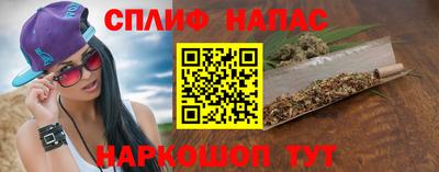 гидра Гай
