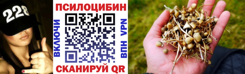 OMG зеркало Дмитров Псилоцибиновые грибы мухоморы
