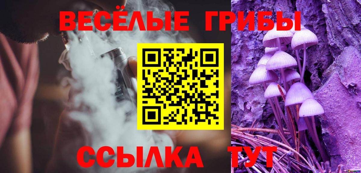 Псилоцибиновые грибы ЛСД Дмитров