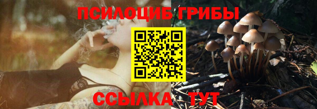 Дмитров  Галлюциногенные грибы GOLDEN TEACHER  Вход с VPN  где найти наркотики  Галлюциногенные грибы MAGIC MUSHROOMS 