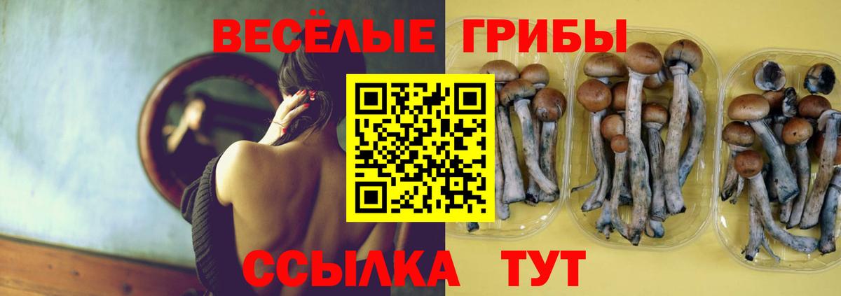 Галлюциногенные грибы GOLDEN TEACHER  Дмитров 